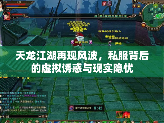 天龙江湖再现风波，私服背后的虚拟诱惑与现实隐忧