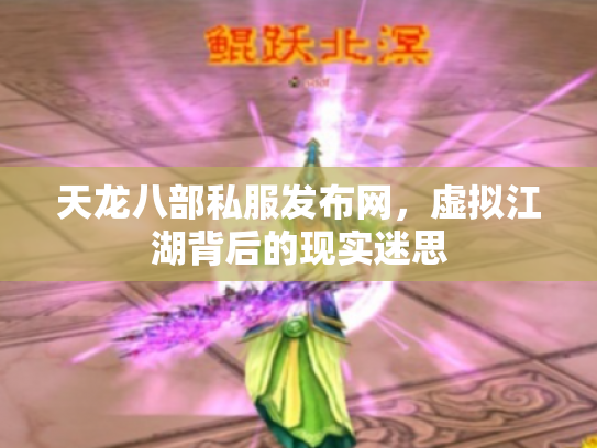 天龙八部私服发布网，虚拟江湖背后的现实迷思