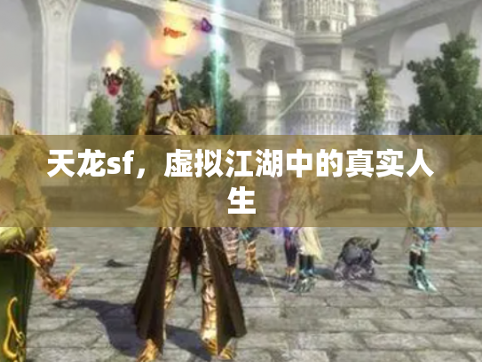 天龙sf，虚拟江湖中的真实人生