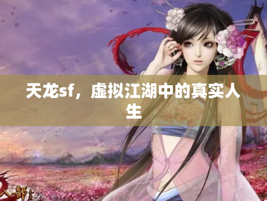 天龙sf，虚拟江湖中的真实人生