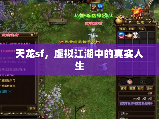 天龙sf，虚拟江湖中的真实人生