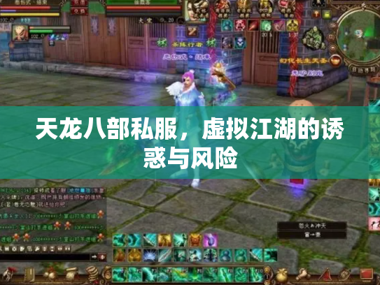天龙八部私服，虚拟江湖的诱惑与风险