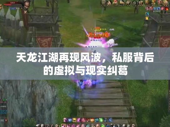 天龙江湖再现风波，私服背后的虚拟与现实纠葛