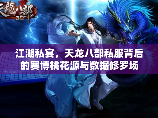江湖私宴，天龙八部私服背后的赛博桃花源与数据修罗场