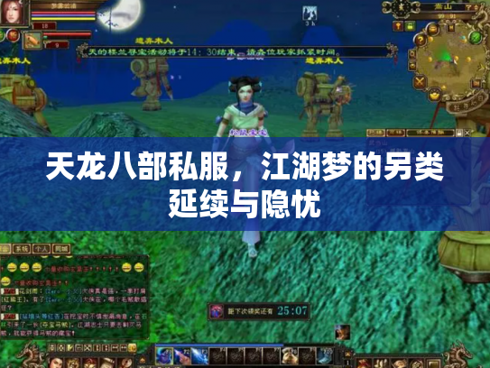 天龙八部私服，江湖梦的另类延续与隐忧