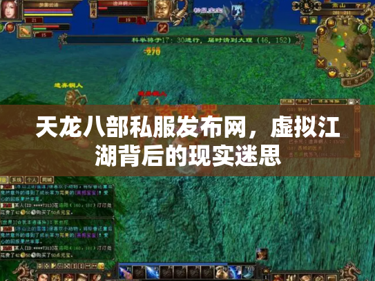 天龙八部私服发布网，虚拟江湖背后的现实迷思