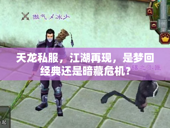 天龙私服，江湖再现，是梦回经典还是暗藏危机？
