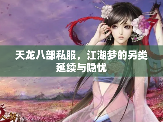 天龙八部私服，江湖梦的另类延续与隐忧