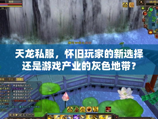 天龙私服，怀旧玩家的新选择还是游戏产业的灰色地带？