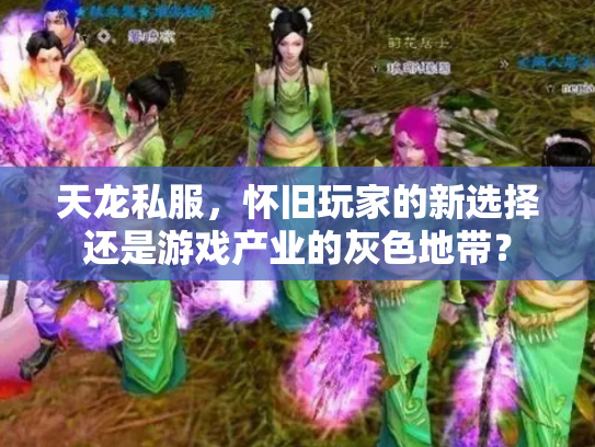 天龙私服，怀旧玩家的新选择还是游戏产业的灰色地带？