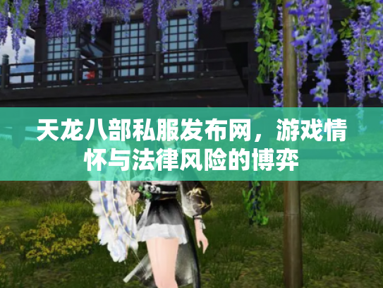 天龙八部私服发布网，游戏情怀与法律风险的博弈
