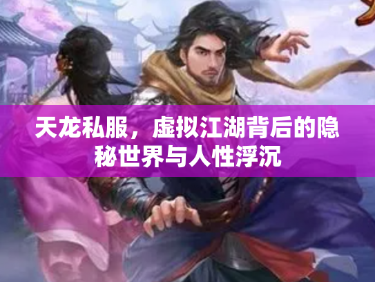 天龙私服，虚拟江湖背后的隐秘世界与人性浮沉