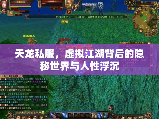天龙私服，虚拟江湖背后的隐秘世界与人性浮沉