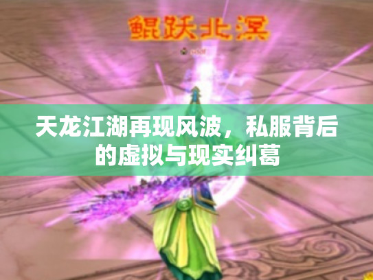 天龙江湖再现风波，私服背后的虚拟与现实纠葛