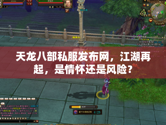 天龙八部私服发布网，江湖再起，是情怀还是风险？