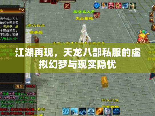 江湖再现，天龙八部私服的虚拟幻梦与现实隐忧