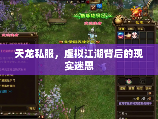 天龙私服，虚拟江湖背后的现实迷思