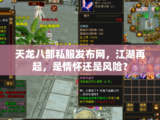 天龙八部私服发布网，江湖再起，是情怀还是风险？