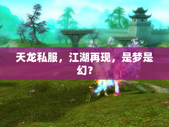 天龙私服，江湖再现，是梦是幻？