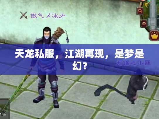 天龙私服，江湖再现，是梦是幻？