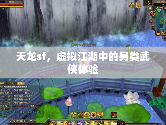 天龙sf，虚拟江湖中的另类武侠体验