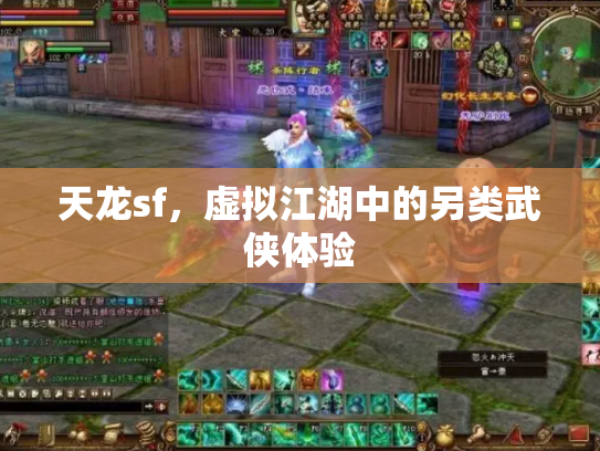 天龙sf，虚拟江湖中的另类武侠体验
