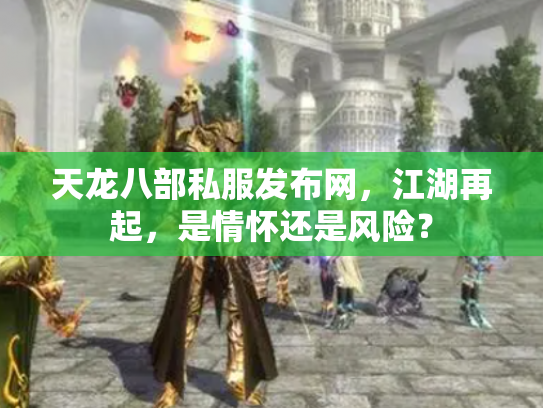 天龙八部私服发布网，江湖再起，是情怀还是风险？