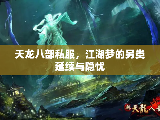 天龙八部私服，江湖梦的另类延续与隐忧