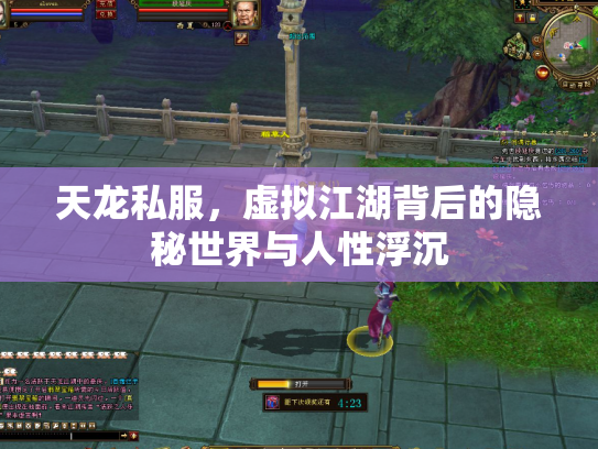 天龙私服，虚拟江湖背后的隐秘世界与人性浮沉