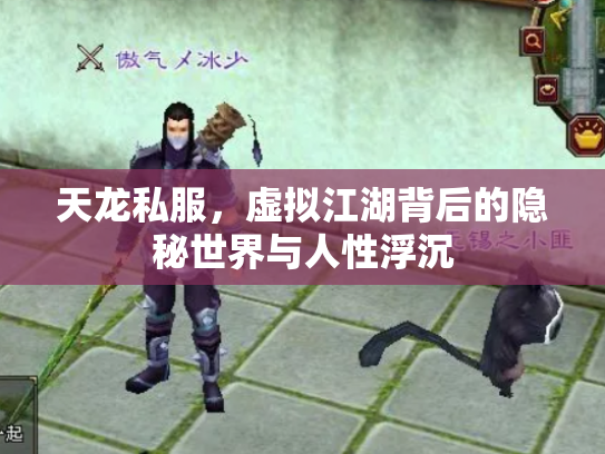 天龙私服，虚拟江湖背后的隐秘世界与人性浮沉