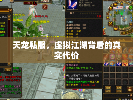 天龙私服，虚拟江湖背后的真实代价