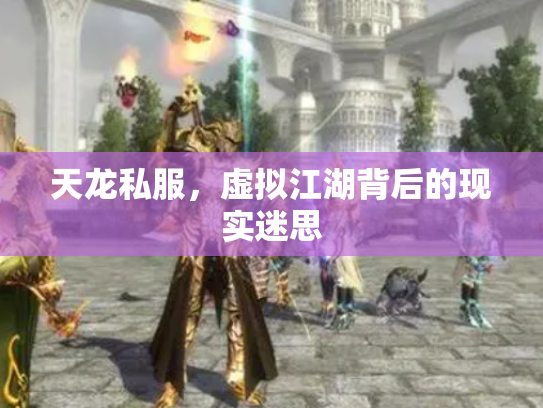 天龙私服，虚拟江湖背后的现实迷思