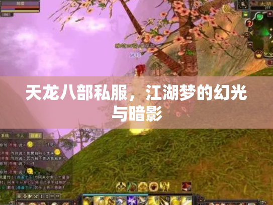 天龙八部私服，江湖梦的幻光与暗影
