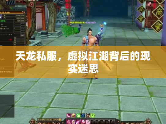 天龙私服，虚拟江湖背后的现实迷思