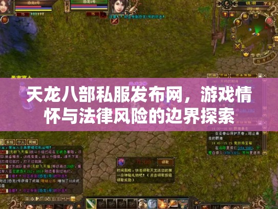 天龙八部私服发布网，游戏情怀与法律风险的边界探索