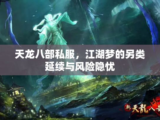 天龙八部私服，江湖梦的另类延续与风险隐忧
