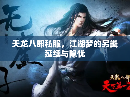 天龙八部私服，江湖梦的另类延续与隐忧
