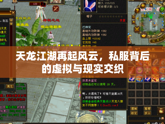 天龙江湖再起风云，私服背后的虚拟与现实交织