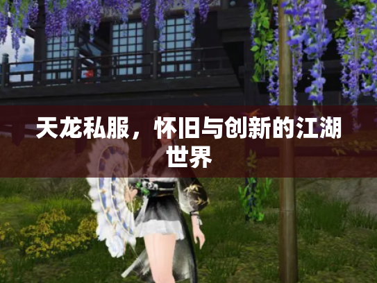 天龙私服，怀旧与创新的江湖世界