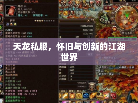 天龙私服，怀旧与创新的江湖世界