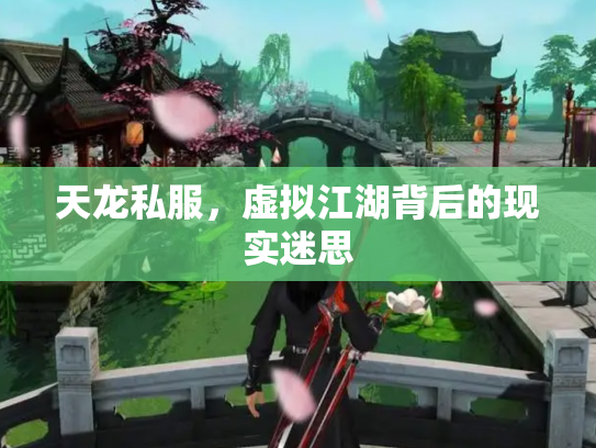 天龙私服，虚拟江湖背后的现实迷思
