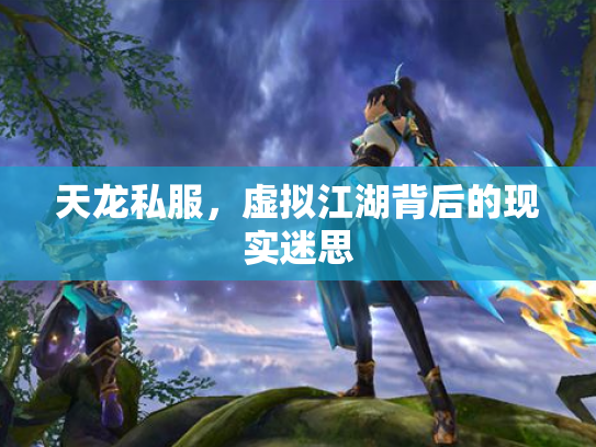 天龙私服，虚拟江湖背后的现实迷思