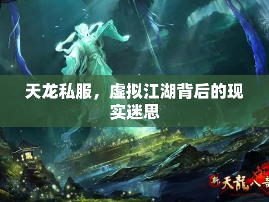 天龙私服，虚拟江湖背后的现实迷思