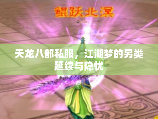 天龙八部私服，江湖梦的另类延续与隐忧