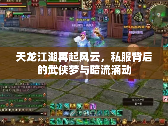天龙江湖再起风云，私服背后的武侠梦与暗流涌动