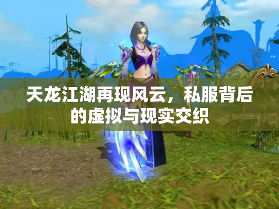 天龙江湖再现风云，私服背后的虚拟与现实交织