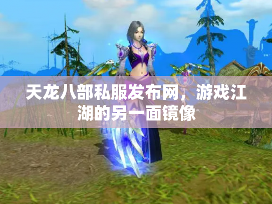 天龙八部私服发布网，游戏江湖的另一面镜像