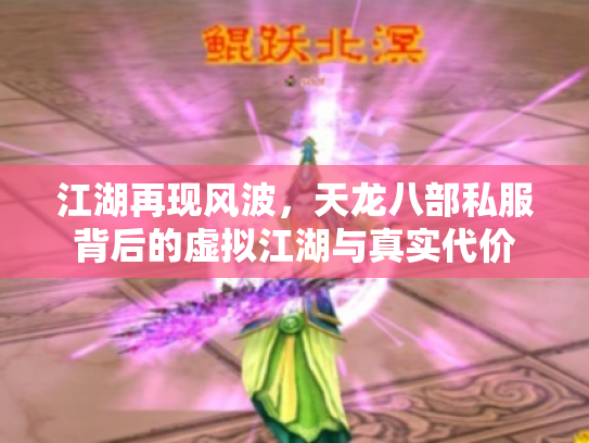 江湖再现风波，天龙八部私服背后的虚拟江湖与真实代价