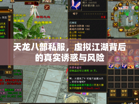 天龙八部私服，虚拟江湖背后的真实诱惑与风险