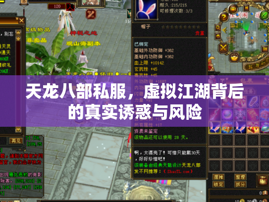 天龙八部私服，虚拟江湖背后的真实诱惑与风险